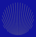 blue-icon-4